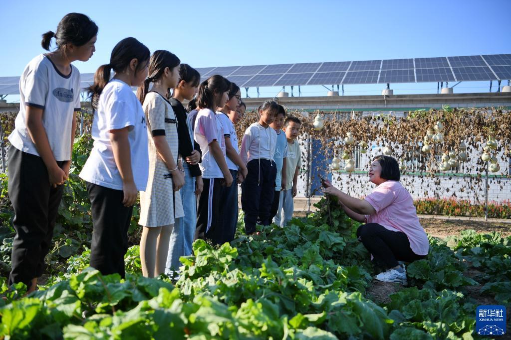 澳门官方平台